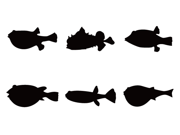 魚 Silhouette Design