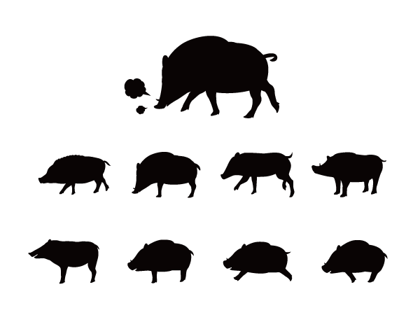 猪の影絵素材
