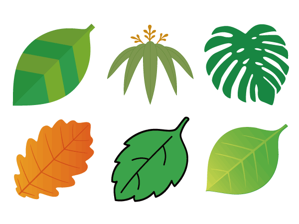 Leaf Silhouette Design