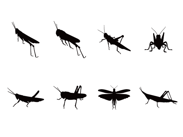 昆虫 ページ 2 Silhouette Design