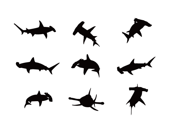 サメ Silhouette Design