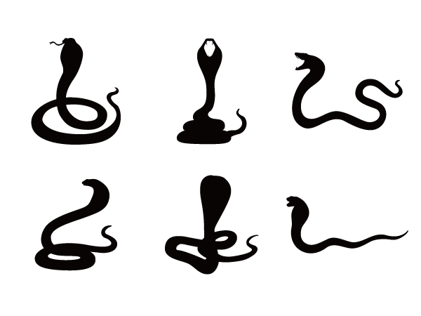 蛇 Silhouette Design