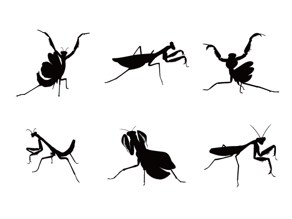 昆虫界の殺し屋カマキリ Silhouette Design