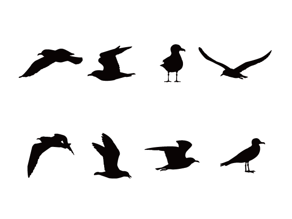 鳥 Silhouette Design