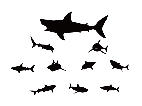 Shark Silhouette Design