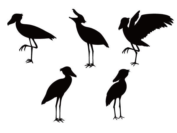 鳥 Silhouette Design