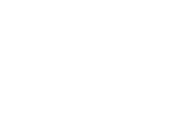 雪の結晶 Silhouette Design