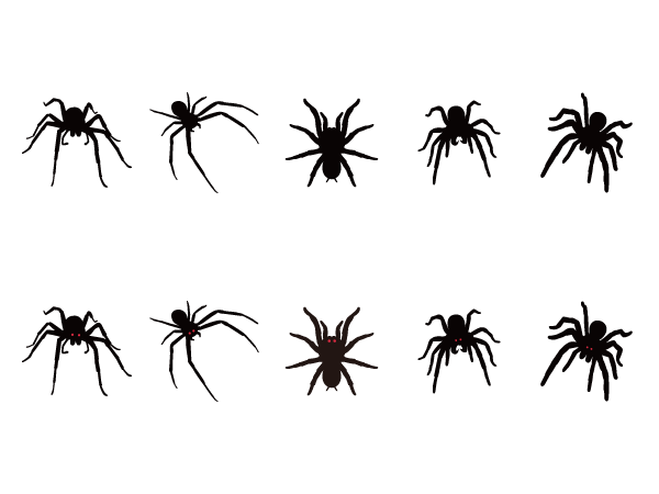 蜘蛛 Silhouette Design