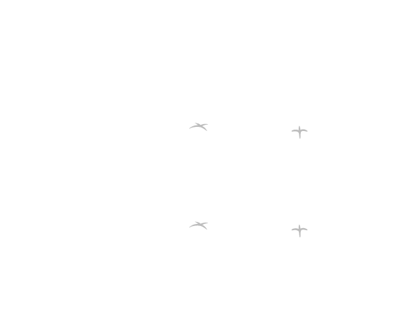歯のシルエット