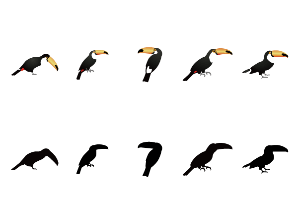 Bird Silhouette Design