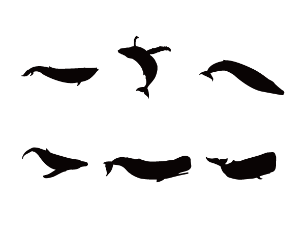 クジラ Silhouette Design