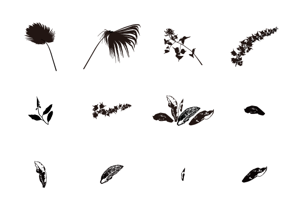 熱帯植物詰め合わせ　silhouette design projectその5
