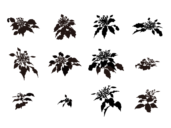 熱帯植物詰め合わせ　silhouette design projectその5　後編