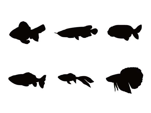 観賞魚セット Silhouette Design