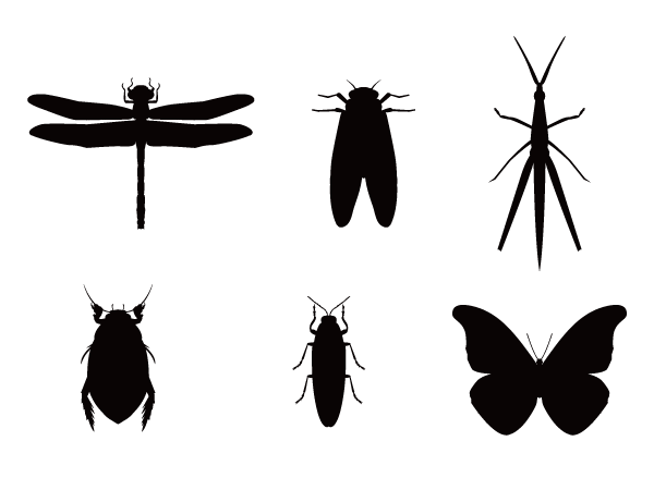 Insect Silhouette Design